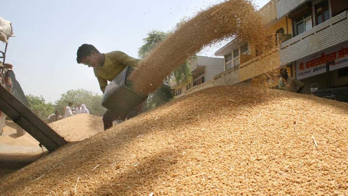 मॉर्निंग डाइजेस्ट |  चाबहार के रास्ते अफगानिस्तान को 20,000 मीट्रिक टन गेहूं भेजेगा भारत;  वीपी धनखड़ हाउस कमेटियों और अन्य पर स्वयं के कर्मचारियों की नियुक्ति करते हैं