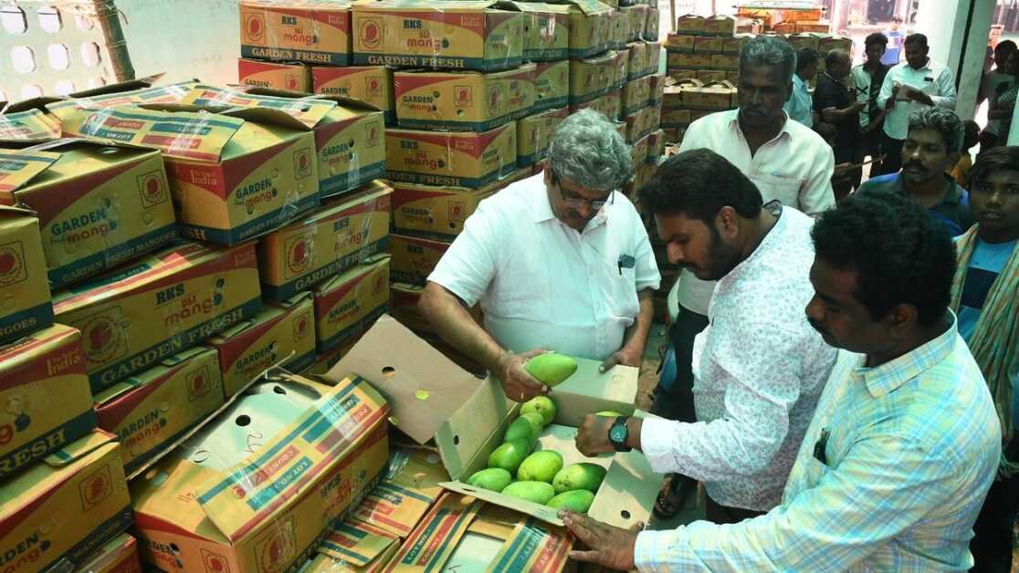खाद्य सुरक्षा अधिकारियों ने विजयवाड़ा में नुन्ना आम बाजार में आम के थोक व्यापारियों पर छापा मारा